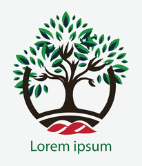 Obraz premium beg tree