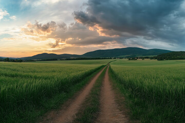 Obraz premium Beautiful summer mountain rural landscape; Panorama of summer green field with dirt road and Sunset cloudy sky