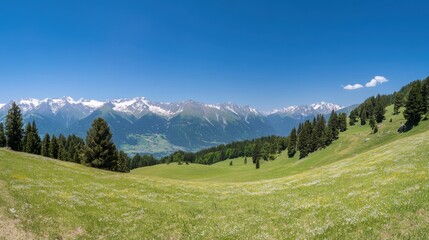 Obraz premium Majestic Panoramic View of Snow-Capped Mountains and Lush Green Valley