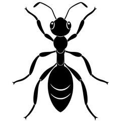 Ant silhouette vector illustration on white background