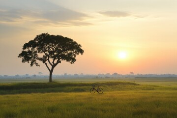 Obraz premium A solitary tree stands tall against a scenic sunset backdrop in an expansive green field where a lone bicycle rests, symbolizing serenity and solitude.