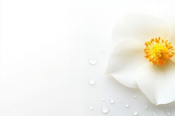 Obraz premium A stunning watercolor painting featuring vibrant purple flowers exuding lush petals against a backdrop of green leaves on a pristine white surface, highlighting intricate artistic detail and natural