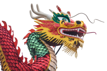 Vibrant dragon dance performance cultural festival art installation outdoor event spectacular view celebration of tradition