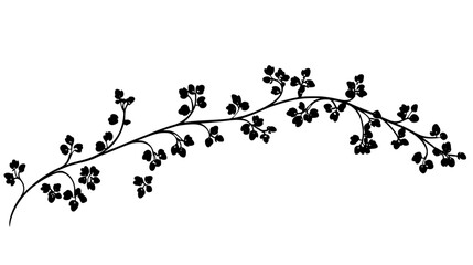 A trailing vine with many small flowers growing along its length, Vectorized Plant Art