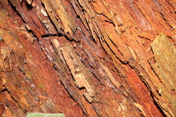 old wood texture