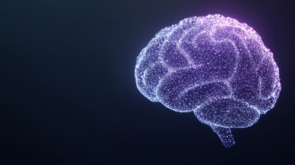 Digital Brain Visualization