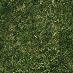Top view photo of a grassy field with subtle dirt patches, seamless texture