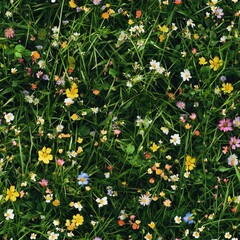 Top view photo of grass with small colorful wildflowers, seamless texture