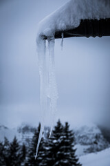 icicles on the roof