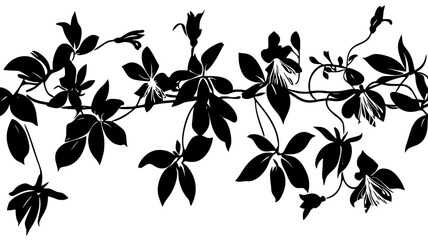 Honeysuckle vine climbing an arbor in a cottage garden, Plant Illustration