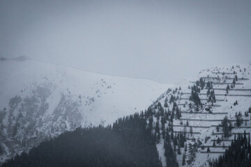 snow covered mountains