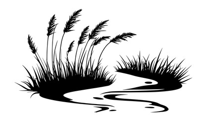 Reeds growing along the banks of a slow-moving river, Plant Illustration