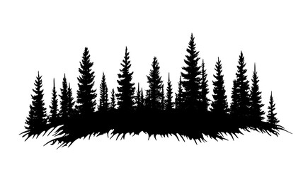 Fototapeta premium Spruce forest stretching across northern terrain, Plant Illustration