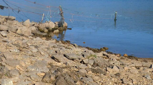 Detail of the stony shore of a swamp. Old barbed wire fence with ropes tied to it submerged in water. 4K viedo.