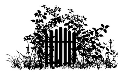 Honeysuckle entwining an arbor entrance to a cottage garden, Plant Vector Graphic