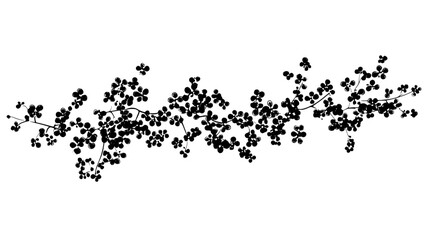 A long branch covered with small, clustered flowers arranged closely together, Plant Vector Graphic