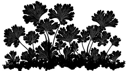 Liverwort with flat, leaf-like structure growing on moist soil surface, Plant Vector Graphic
