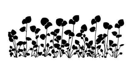 Mustard plants with seed pods in a field, Plant Vector Graphic
