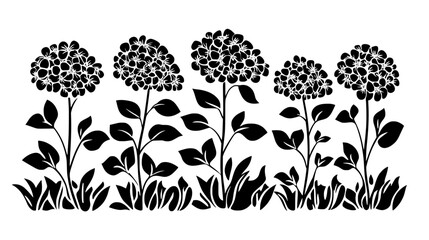 A row of panicle hydrangeas growing in a shaded outdoor flowerbed, Plant Vector Graphic