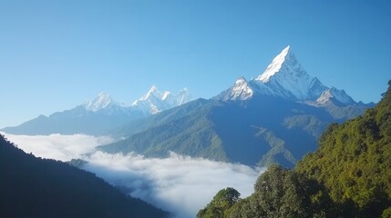 Majestic Snow-Capped Mountains Surrounded by Misty Clouds and Green Forests