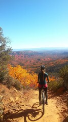 Fototapeta premium A cyclist enjoying a scenic mountain trail with vibrant autumn foliage.