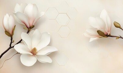 A white flower with a pink center is shown