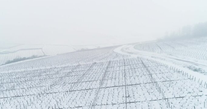 Plan a&eacute;rien drone de survol des vigne de Bourgogne en hiver sous la neige dans le brouillard