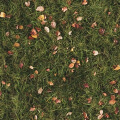 A field of grass with leaves scattered on the ground. Seamless texture