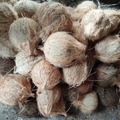 a pile of peeled coconuts