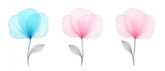Obraz premium Watercolor digital illustration of a floral set, suitable for greeting cards, posters, invitations, banners, and other printing projects. It is isolated on a white background, highlighting