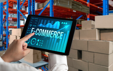 E-commerce data software provide modish dashboard for sale analysis to the online retail business