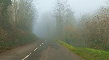 Fototapeta premium Foggy road leading to Chateau du Haut-Koenigsbourg