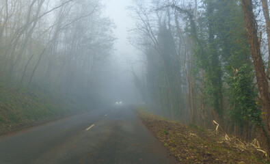 Obraz premium Foggy forest road with distant car headlights