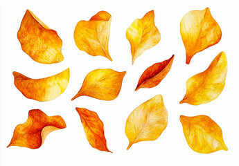 Naklejka premium Watercolor Sprigs Cut in Different Shapes (Clip Art Style)