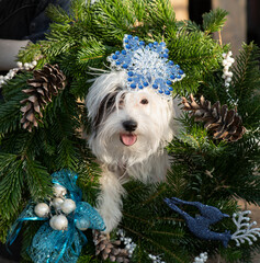 Beautiful girl in winter clothes standing with red velvet decorative new year christmas ball in hands. Merry christmas and happy new year concept. Selective focus