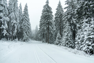 Obraz premium Winterwanderung durch den Thüringer Wald bei Oberhof und dem Kanzlersgrund bei winterlichen Wetter - Thüringen - Deutschland