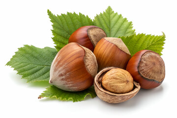A cluster of hazelnuts nestled among green leaves, showcasing their rich brown shells and one open nut revealing the kernel inside.