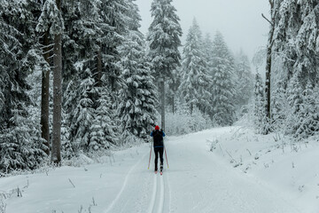 Winterwanderung durch den Thüringer Wald bei Oberhof und dem Kanzlersgrund bei winterlichen Wetter - Thüringen - Deutschland