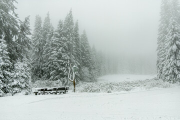 Winterwanderung durch den Thüringer Wald bei Oberhof und dem Kanzlersgrund bei winterlichen Wetter - Thüringen - Deutschland