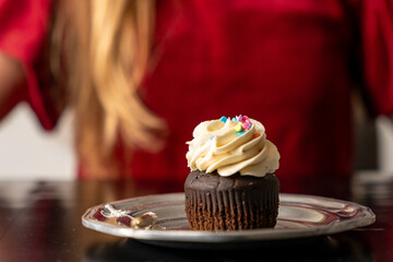 Chocolate cupcake with frosting and sprinkles ona plate