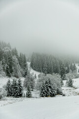 Winterwanderung durch den Thüringer Wald bei Oberhof und dem Kanzlersgrund bei winterlichen Wetter - Thüringen - Deutschland