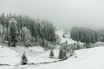 Winterwanderung durch den Thüringer Wald bei Oberhof und dem Kanzlersgrund bei winterlichen Wetter - Thüringen - Deutschland