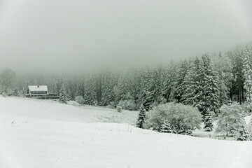Winterwanderung durch den Thüringer Wald bei Oberhof und dem Kanzlersgrund bei winterlichen Wetter - Thüringen - Deutschland