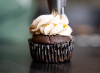 Chocolate cupcake with frosting 