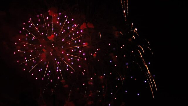 Silver red purple blue sparks scattering fireworks on the black night sky. General plan
