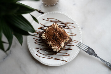 Delicious Tiramisu