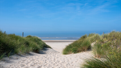 Dunes with beach grass and the sea