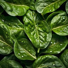 spinach