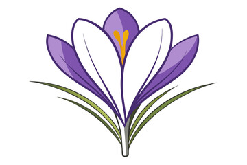 Naklejka premium Crocus Flower Line Drawing Artistic Silhouette for Nature Lovers