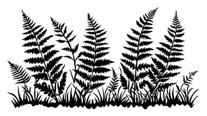 Fern plants with fronds in the forest understory, Plant Digital Art